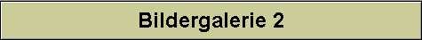 Bildergalerie 2