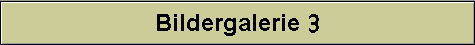 Bildergalerie 3